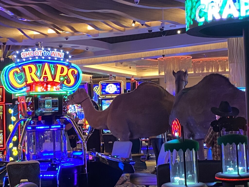 Camels in the middle of a casino.