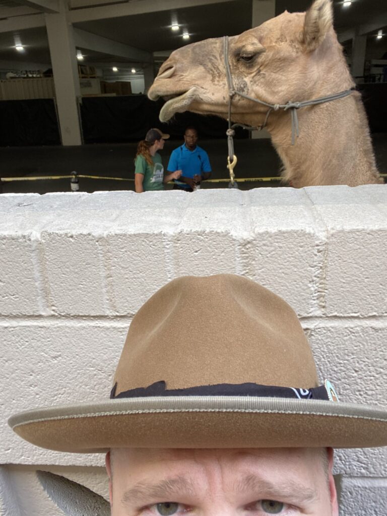 Very attractive man in a hat with a camel behind him.